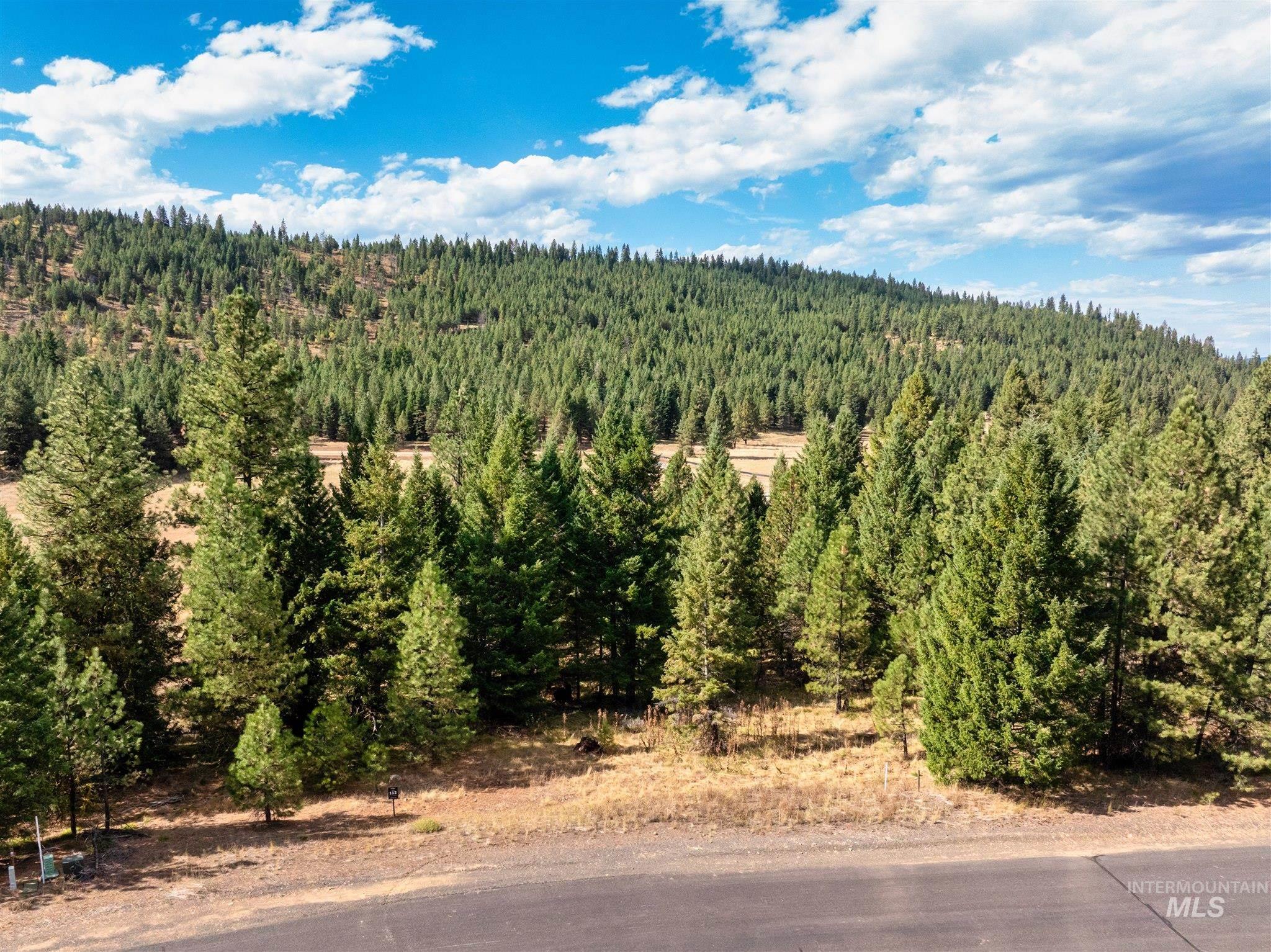 TBD Lupine Lane, McCall, Idaho 83638, Land For Sale, Price $605,000,MLS 98926785