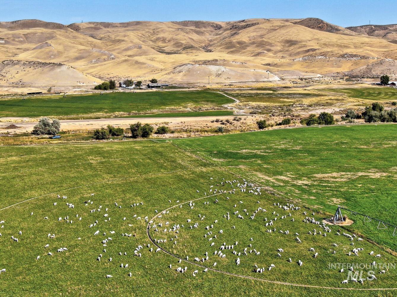 6600 Little Willow Rd, Payette, Idaho 83661, 3 Bedrooms, 2 Bathrooms, Farm & Ranch For Sale, Price $3,500,000, 98926794