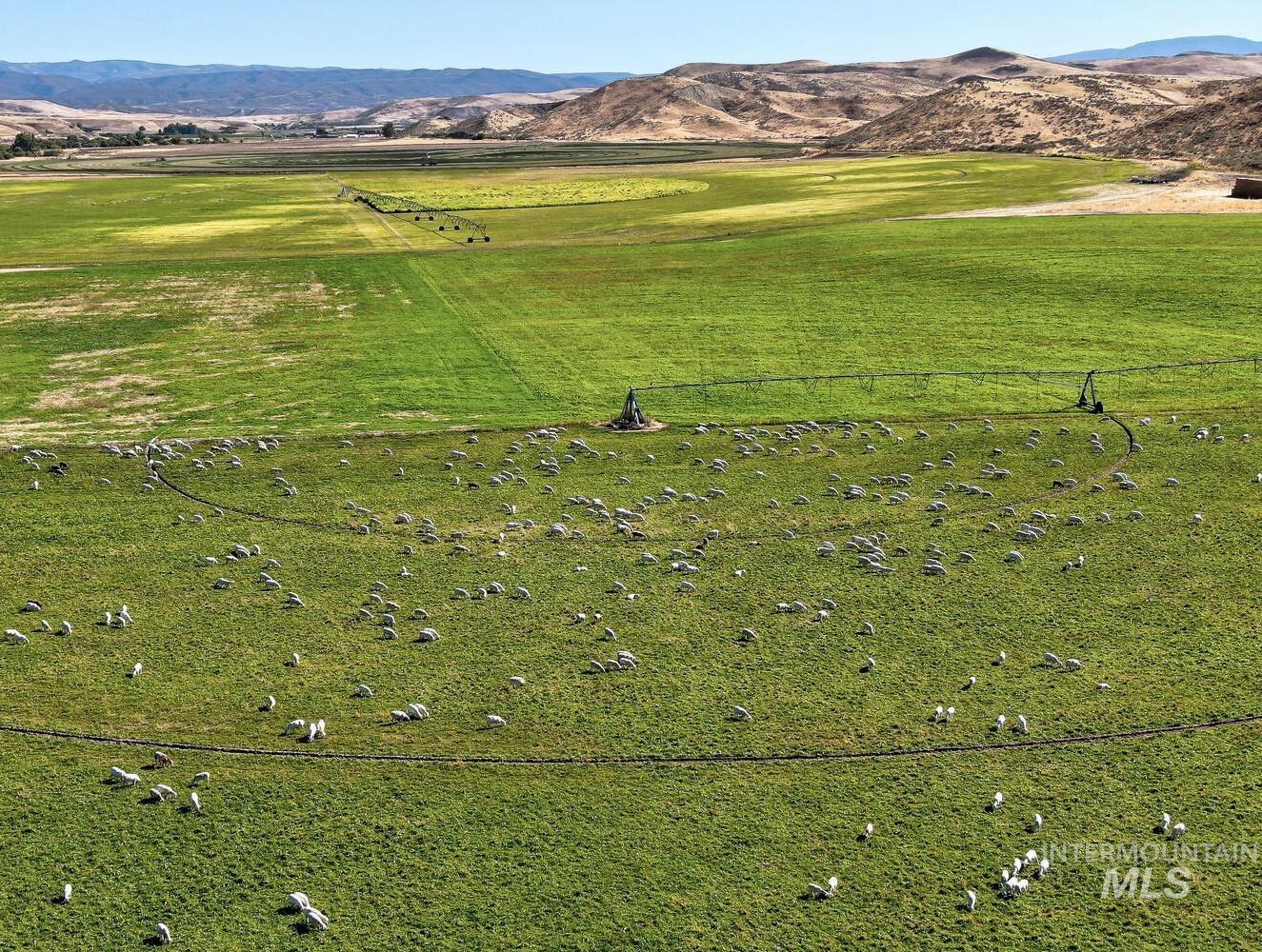 6600 Little Willow Rd, Payette, Idaho 83661, 3 Bedrooms, 2 Bathrooms, Farm & Ranch For Sale, Price $3,500,000, 98926794