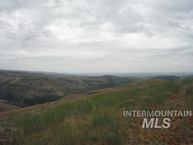 LOT 4 Middle Fork Rd, Council, Idaho 83612, Land For Sale, Price $499,000, 98926931