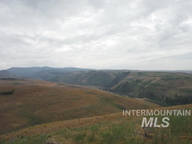 LOT 4 Middle Fork Rd, Council, Idaho 83612, Land For Sale, Price $499,000, 98926931