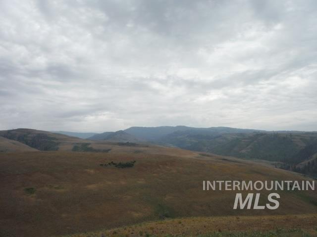 LOT 4 Middle Fork Rd, Council, Idaho 83612, Land For Sale, Price $499,000, 98926931