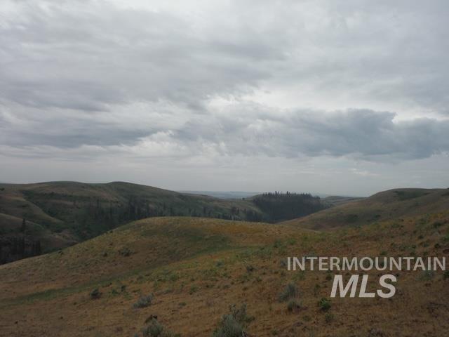LOT 4 Middle Fork Rd, Council, Idaho 83612, Land For Sale, Price $499,000, 98926931
