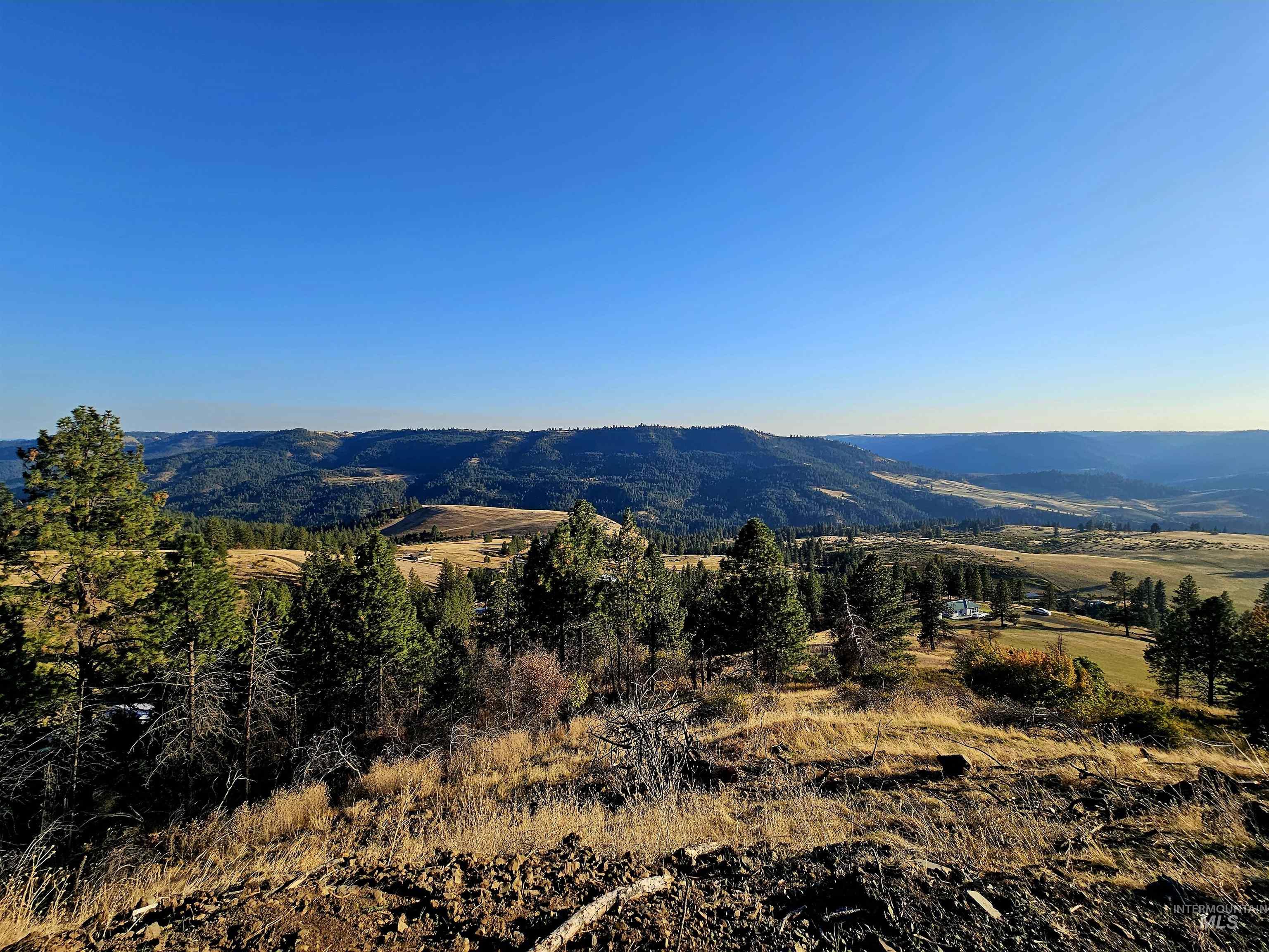 618 Valley View Dr, Lenore, Idaho 83541, Land For Sale, Price $179,000,MLS 98927081