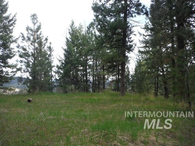 TBD Lot 4 Wilderness Ridge, Boise, Idaho 83716, Land For Sale, Price $200,000, 98927187