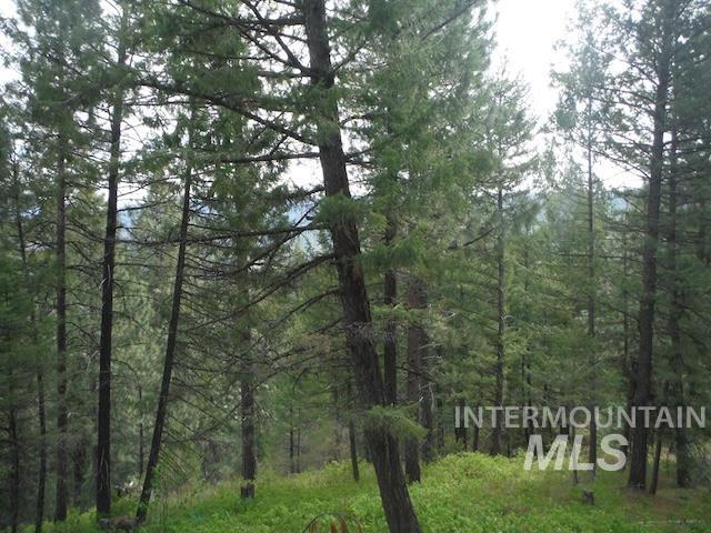 TBD Lot 4 Wilderness Ridge, Boise, Idaho 83716, Land For Sale, Price $200,000, 98927187