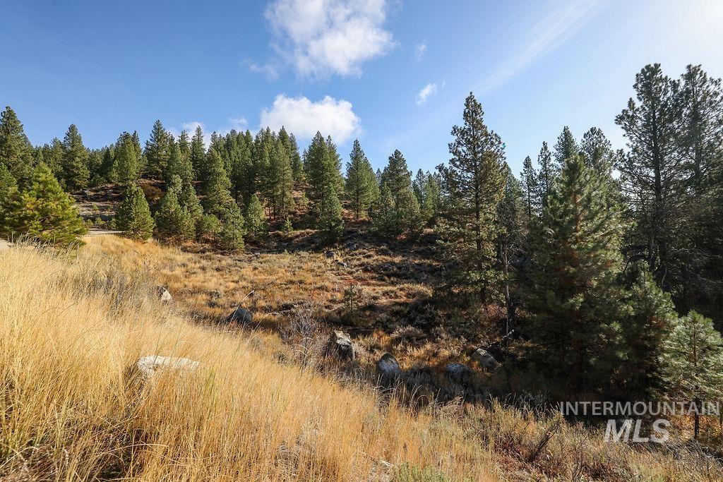 TBD Joshua Drive, Cascade, Idaho 83611, Land For Sale, Price $220,000,MLS 98927790