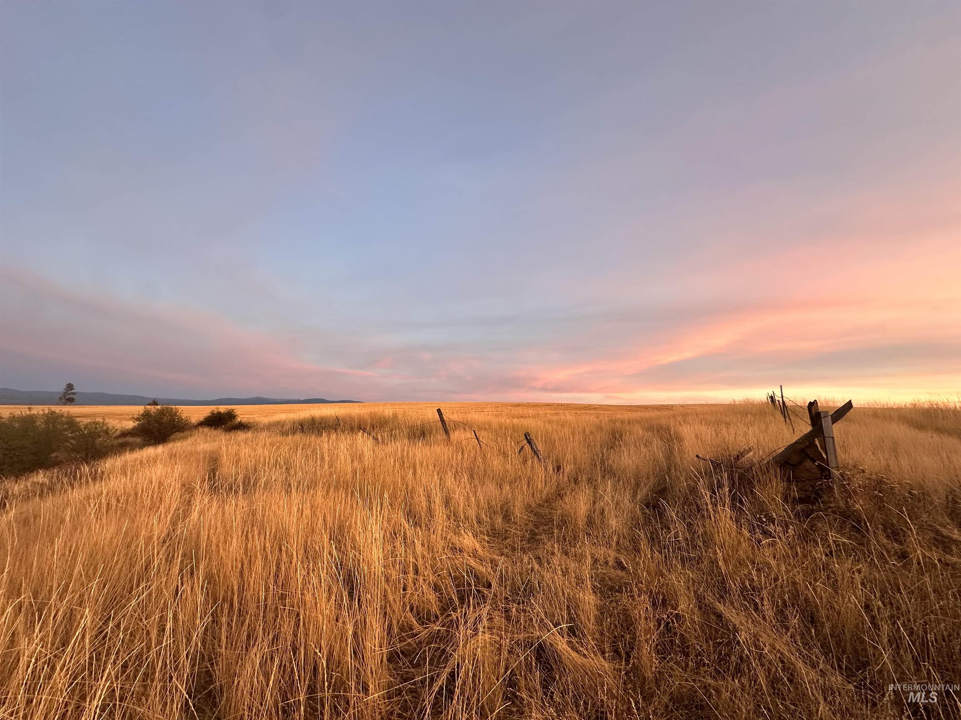 105 Scotlyn Ranch Rd, Kamiah, Idaho 83536, 6 Bedrooms, 8 Bathrooms, Farm & Ranch For Sale, Price $4,995,000, 98927832