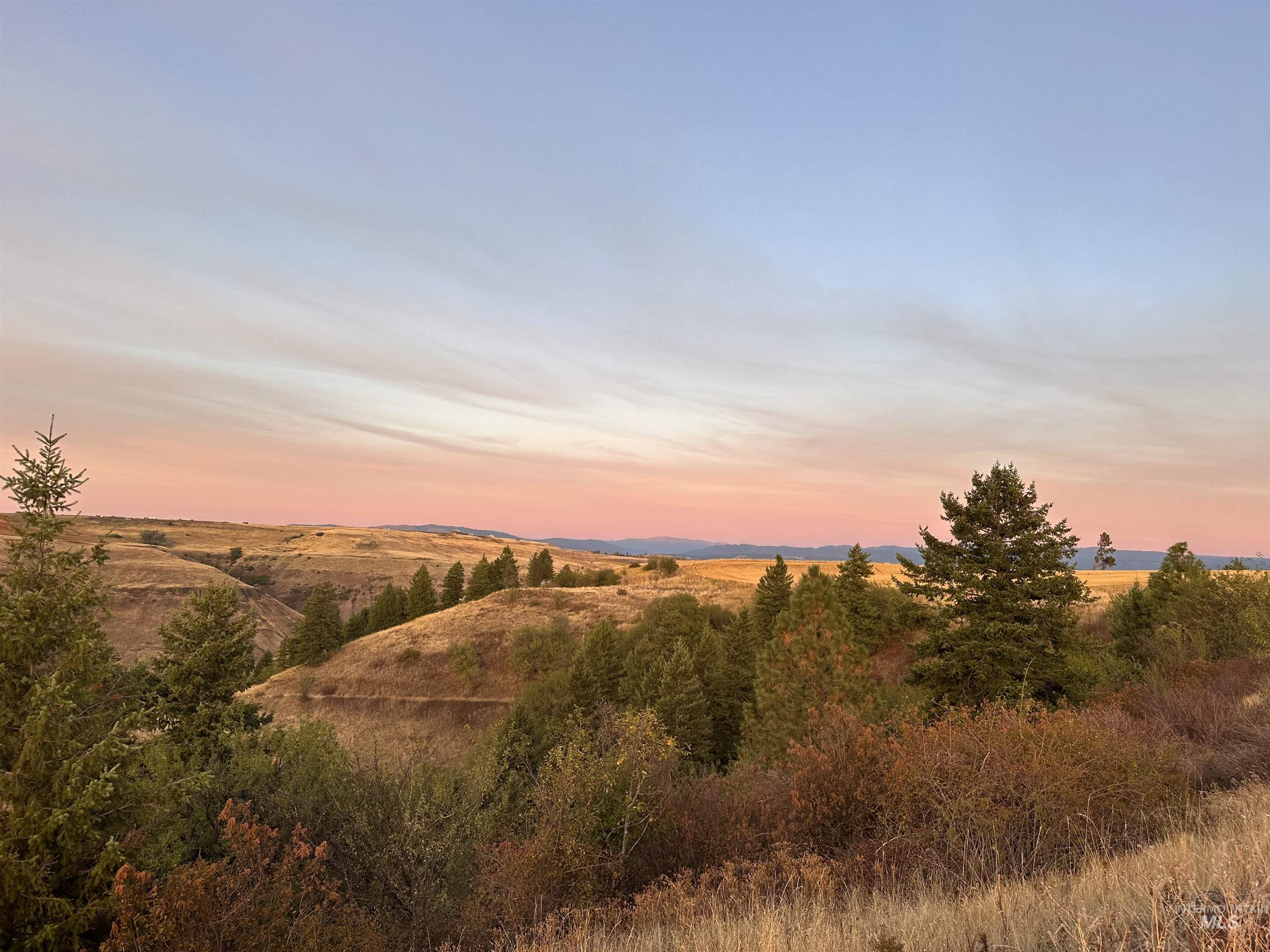 105 Scotlyn Ranch Rd, Kamiah, Idaho 83536, 6 Bedrooms, 8 Bathrooms, Farm & Ranch For Sale, Price $4,995,000, 98927832