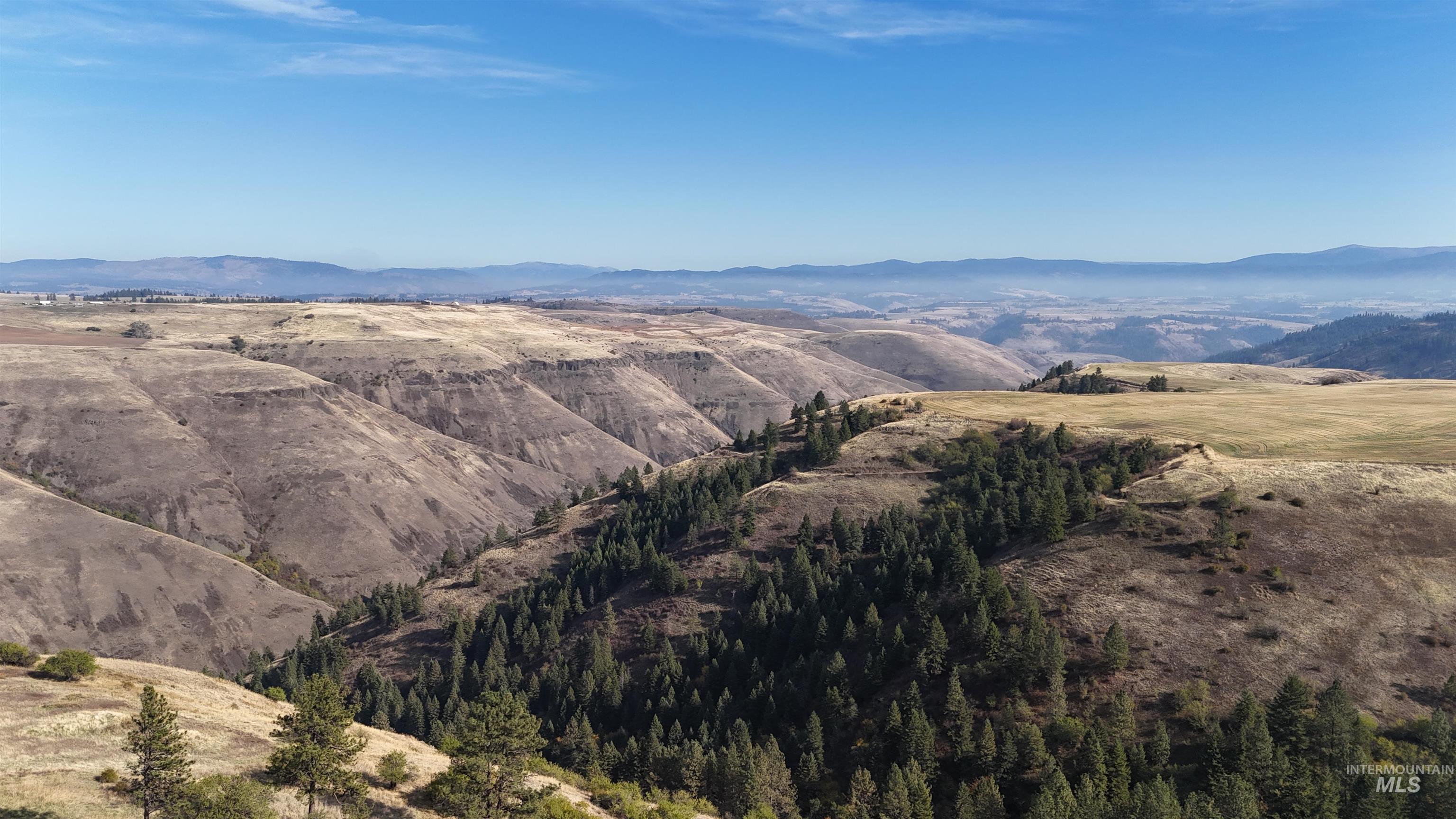 105 Scotlyn Ranch Rd, Kamiah, Idaho 83536, 6 Bedrooms, 8 Bathrooms, Farm & Ranch For Sale, Price $4,995,000, 98927832