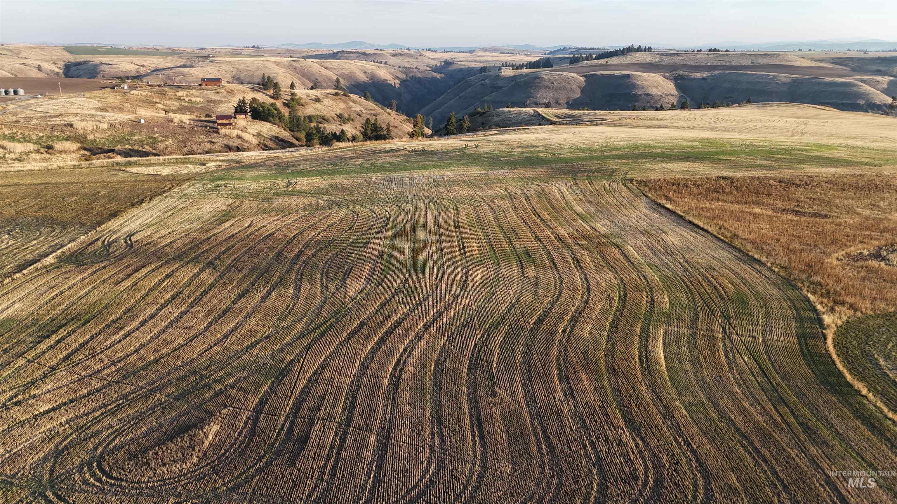 105 Scotlyn Ranch Rd, Kamiah, Idaho 83536, 6 Bedrooms, 8 Bathrooms, Farm & Ranch For Sale, Price $4,995,000, 98927832