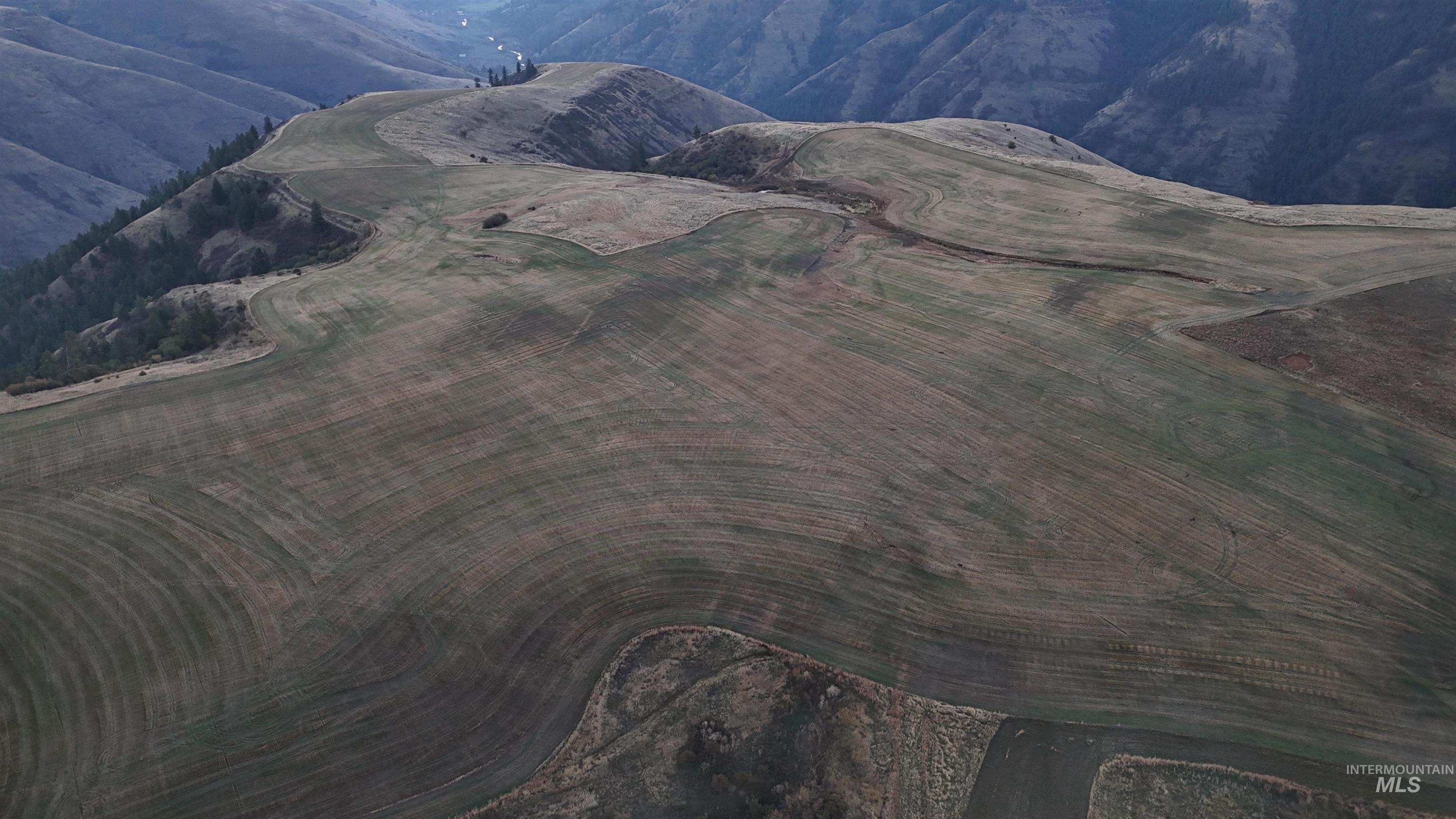 105 Scotlyn Ranch Rd, Kamiah, Idaho 83536, 6 Bedrooms, 8 Bathrooms, Farm & Ranch For Sale, Price $4,995,000, 98927832