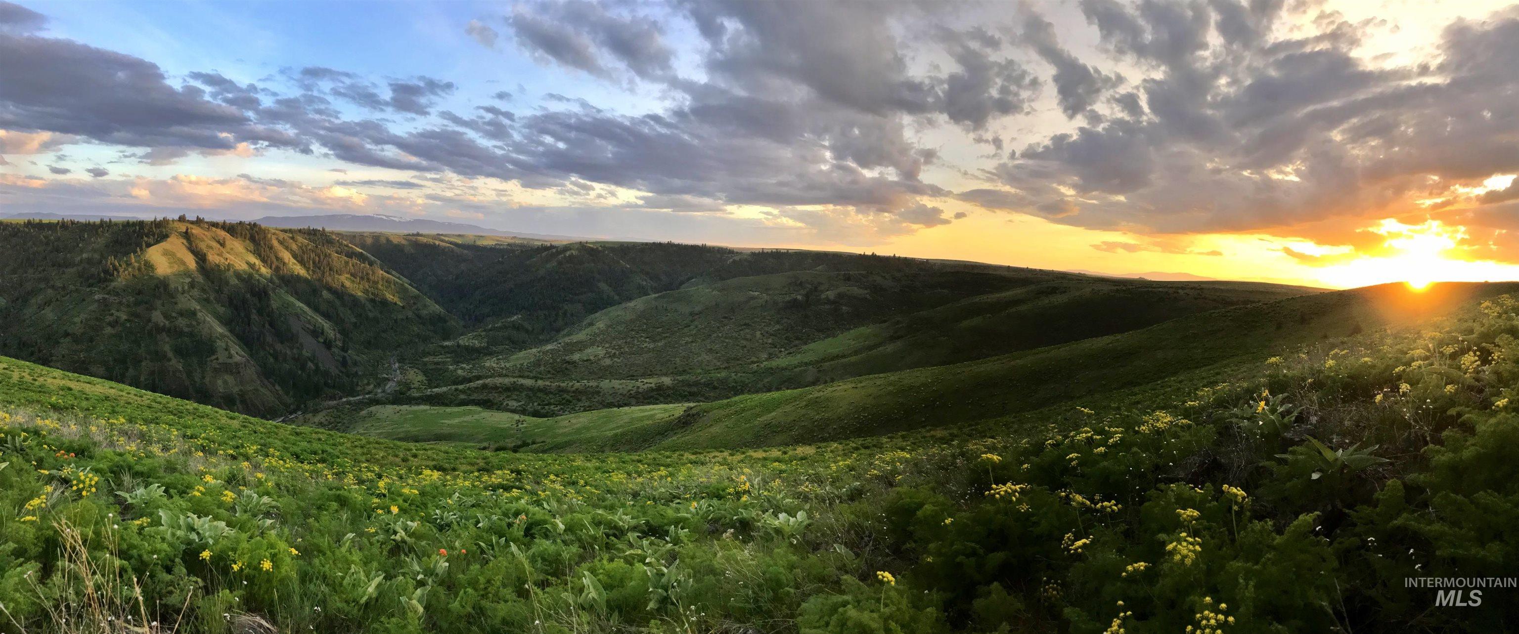 141 Scotlyn Ranch Rd., Kamiah, Idaho 83536, 4 Bedrooms, 6 Bathrooms, Farm & Ranch For Sale, Price $7,495,000, 98927833