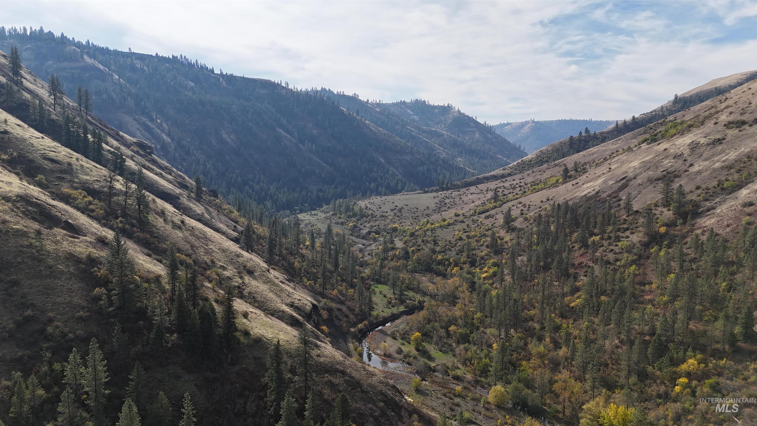 141 Scotlyn Ranch Rd., Kamiah, Idaho 83536, 4 Bedrooms, 6 Bathrooms, Farm & Ranch For Sale, Price $7,495,000, 98927833