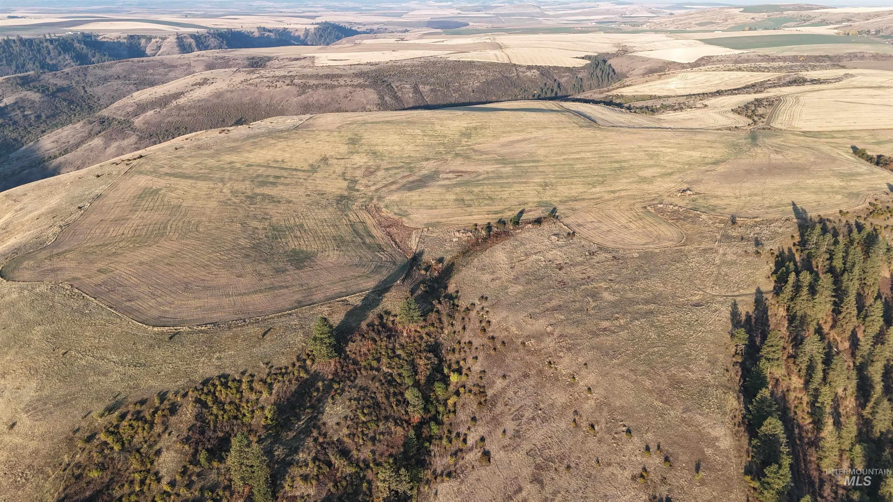 141 Scotlyn Ranch Rd., Kamiah, Idaho 83536, 4 Bedrooms, 6 Bathrooms, Farm & Ranch For Sale, Price $7,495,000,MLS 98927833