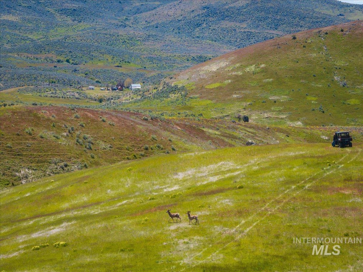 TBD 277 ac Timber Butte Rd, Sweet, Idaho 83670, Land For Sale, Price $1,700,000, 98927874