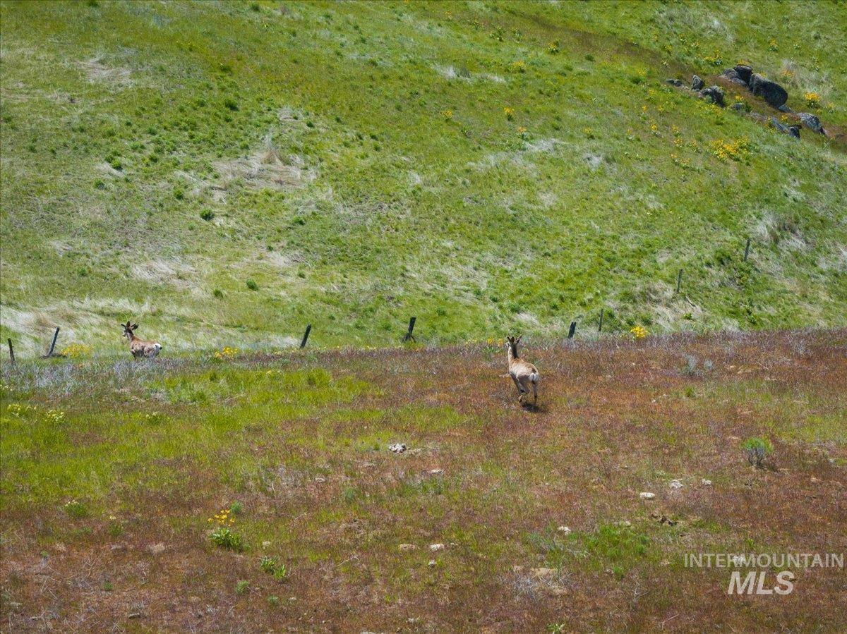 TBD 277 ac Timber Butte Rd, Sweet, Idaho 83670, Land For Sale, Price $1,700,000, 98927874