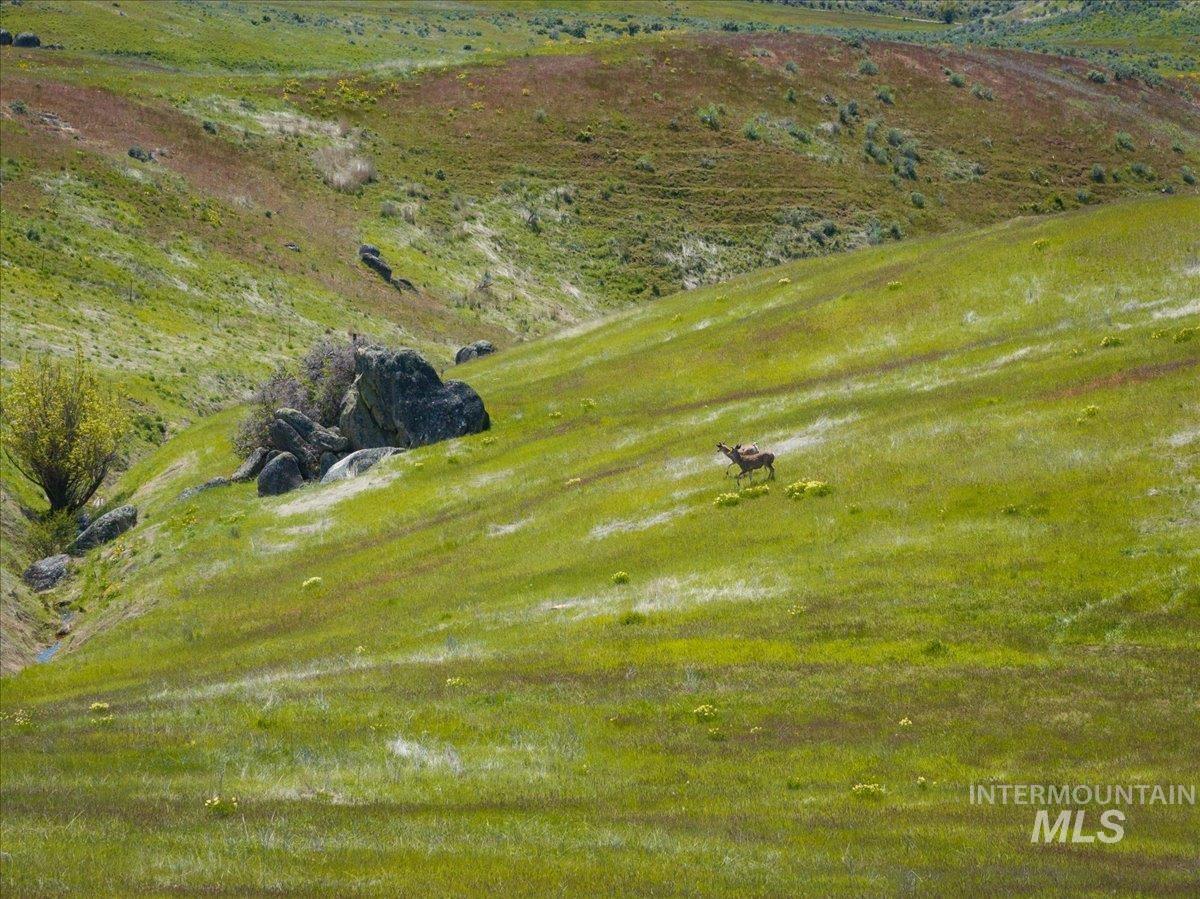 TBD 277 ac Timber Butte Rd, Sweet, Idaho 83670, Land For Sale, Price $1,700,000, 98927874