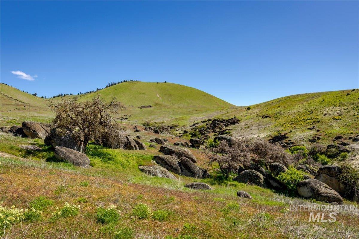 TBD 277 ac Timber Butte Rd, Sweet, Idaho 83670, Land For Sale, Price $1,700,000, 98927874