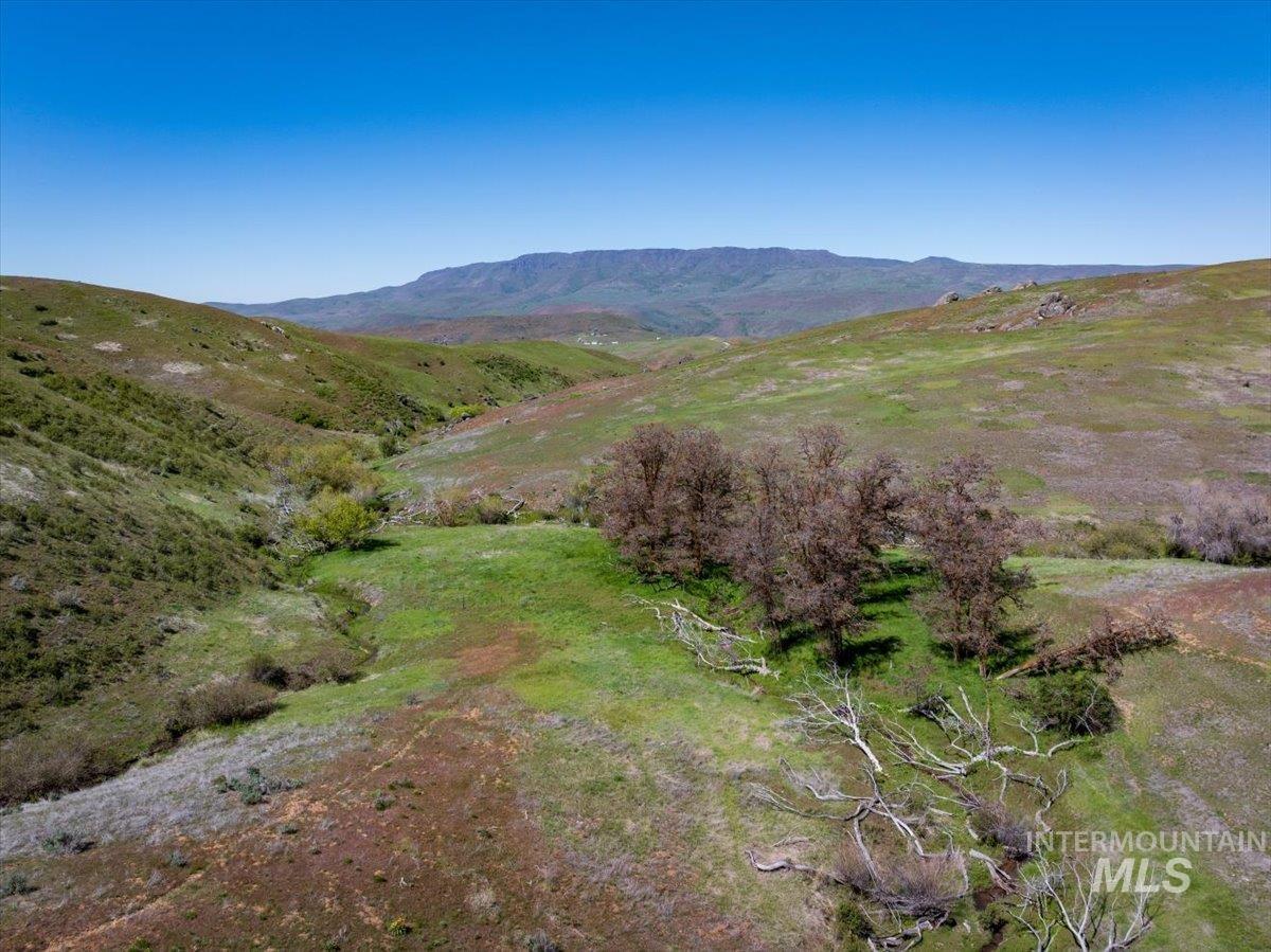TBD 277 ac Timber Butte Rd, Sweet, Idaho 83670, Land For Sale, Price $1,700,000, 98927874