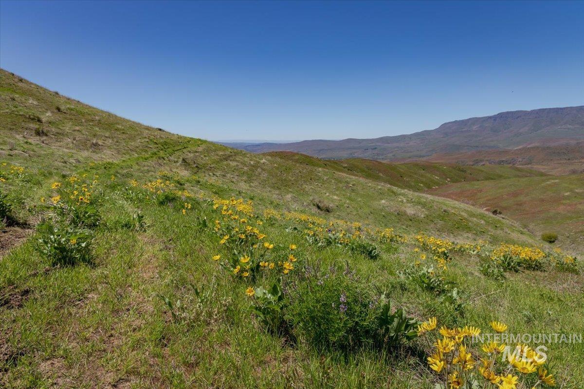 TBD 277 ac Timber Butte Rd, Sweet, Idaho 83670, Land For Sale, Price $1,700,000, 98927874