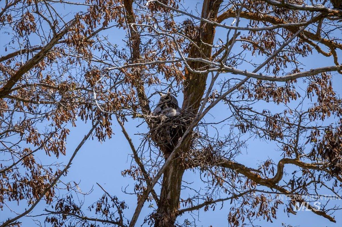 277 acres Timber Butte Rd, Sweet, Idaho 83670, Farm & Ranch For Sale, Price $1,700,000, 98927880