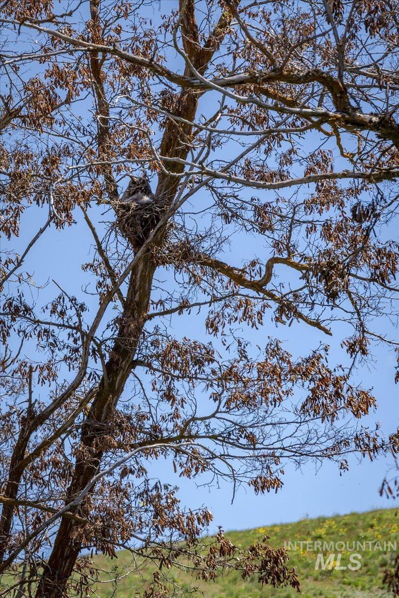 277 acres Timber Butte Rd, Sweet, Idaho 83670, Farm & Ranch For Sale, Price $1,700,000, 98927880