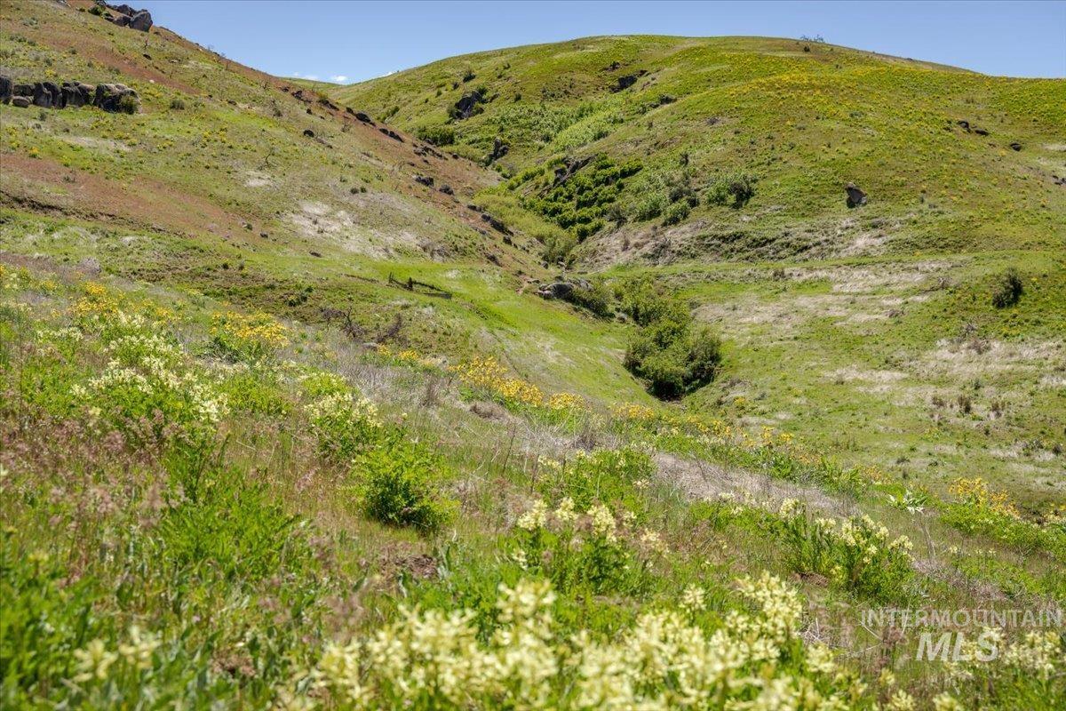 277 acres Timber Butte Rd, Sweet, Idaho 83670, Farm & Ranch For Sale, Price $1,700,000, 98927880