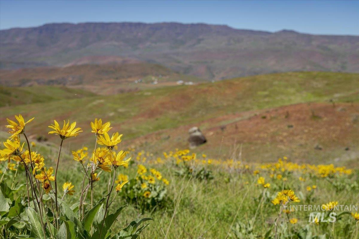 277 acres Timber Butte Rd, Sweet, Idaho 83670, Farm & Ranch For Sale, Price $1,700,000, 98927880
