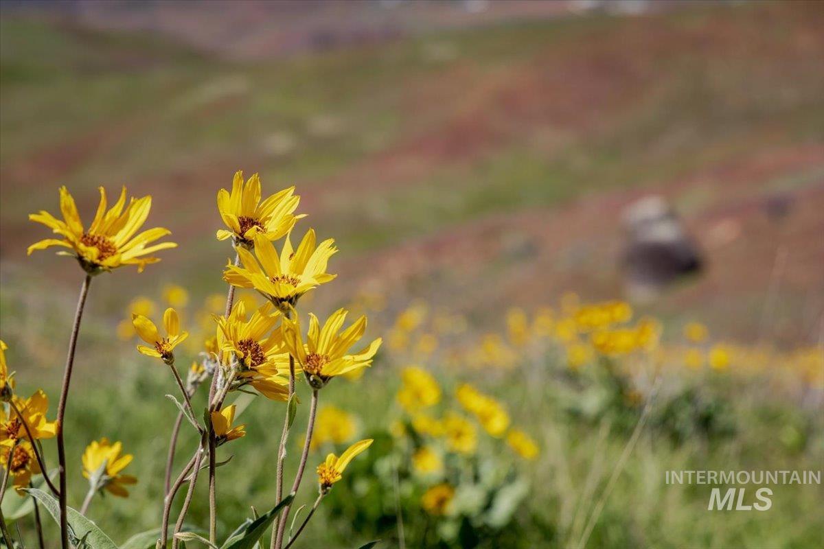 277 acres Timber Butte Rd, Sweet, Idaho 83670, Farm & Ranch For Sale, Price $1,700,000, 98927880