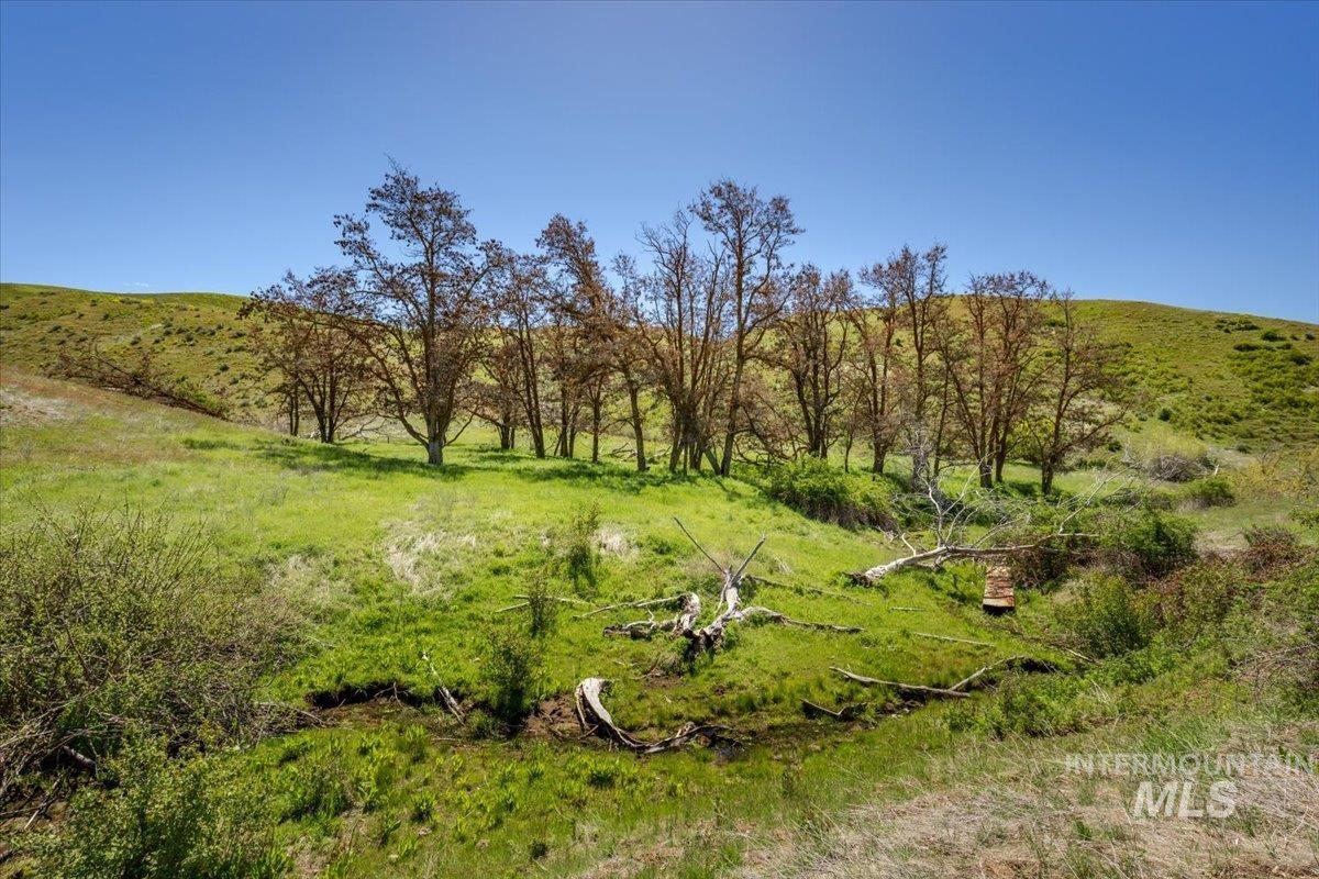277 acres Timber Butte Rd, Sweet, Idaho 83670, Farm & Ranch For Sale, Price $1,700,000, 98927880