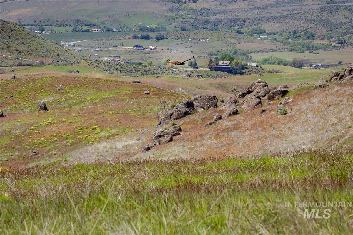 277 acres Timber Butte Rd, Sweet, Idaho 83670, Farm & Ranch For Sale, Price $1,700,000, 98927880