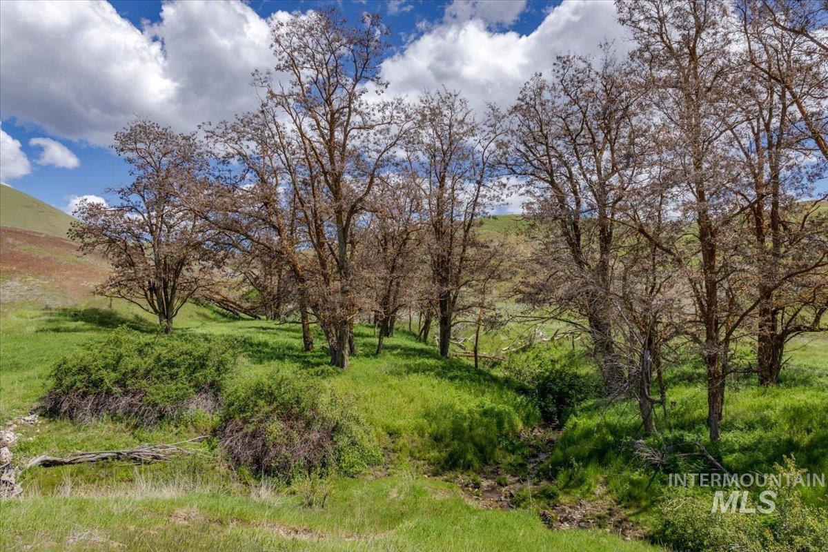 277 acres Timber Butte Rd, Sweet, Idaho 83670, Farm & Ranch For Sale, Price $1,700,000, 98927880