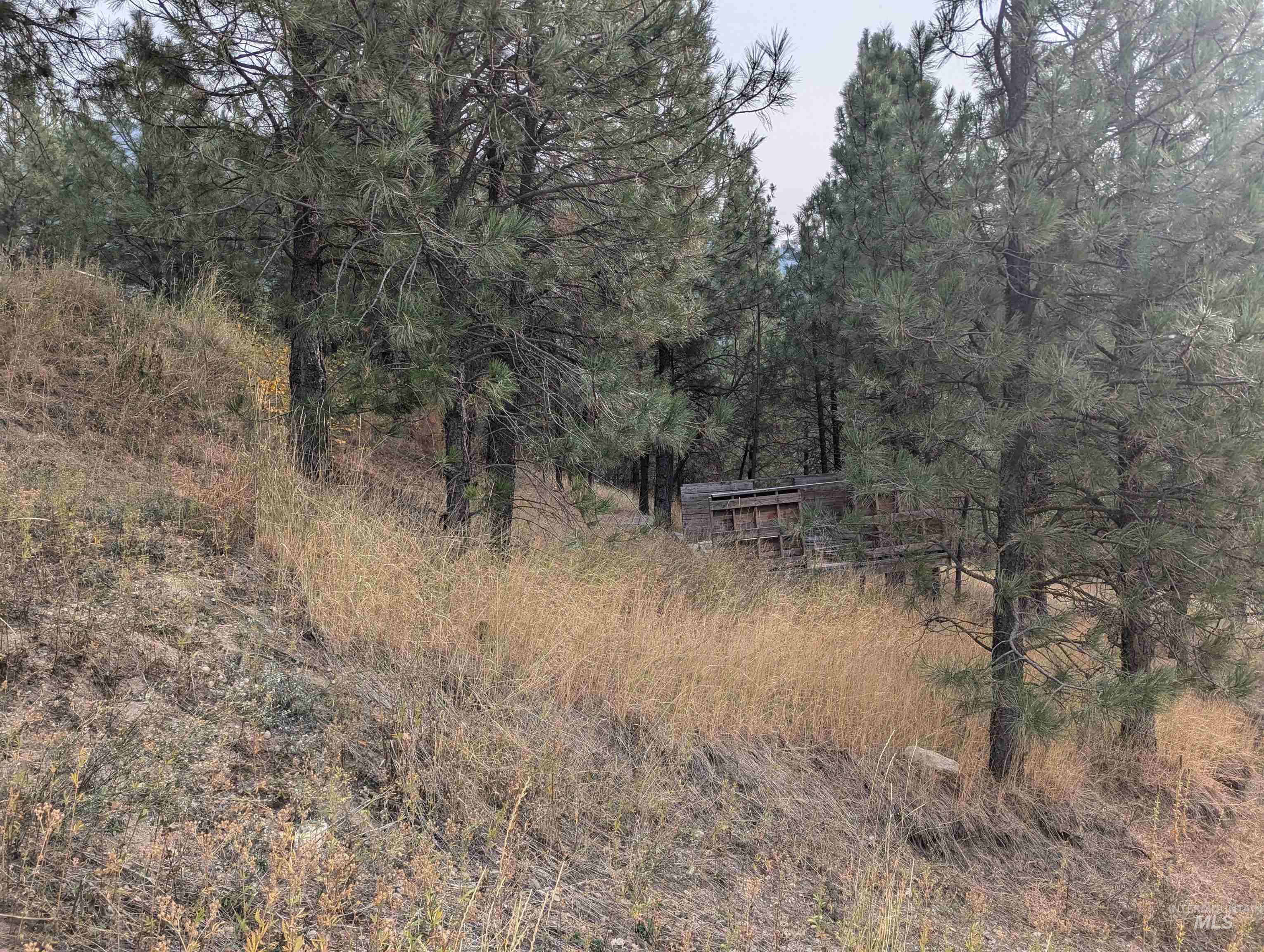 LOT 34 Frazier, Garden Valley, Idaho 83622, Land For Sale, Price $99,000,MLS 98928073