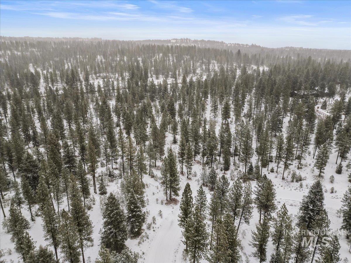 2753 W Pine Drive, New Meadows, Idaho 83638, Land For Sale, Price $390,000, 98928132