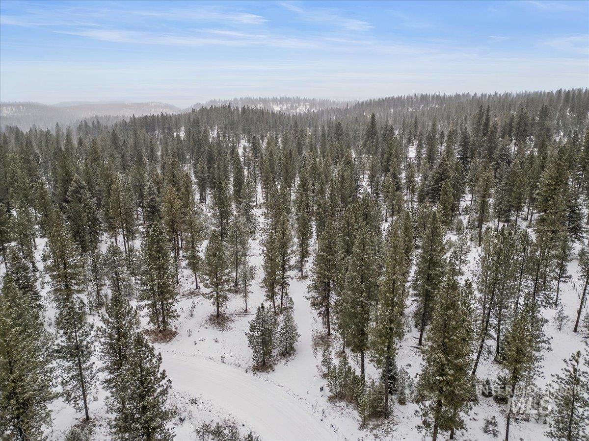 2753 W Pine Drive, New Meadows, Idaho 83638, Land For Sale, Price $390,000, 98928132