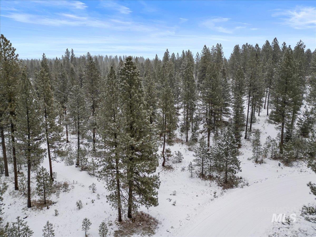 2753 W Pine Drive, New Meadows, Idaho 83638, Land For Sale, Price $390,000, 98928132