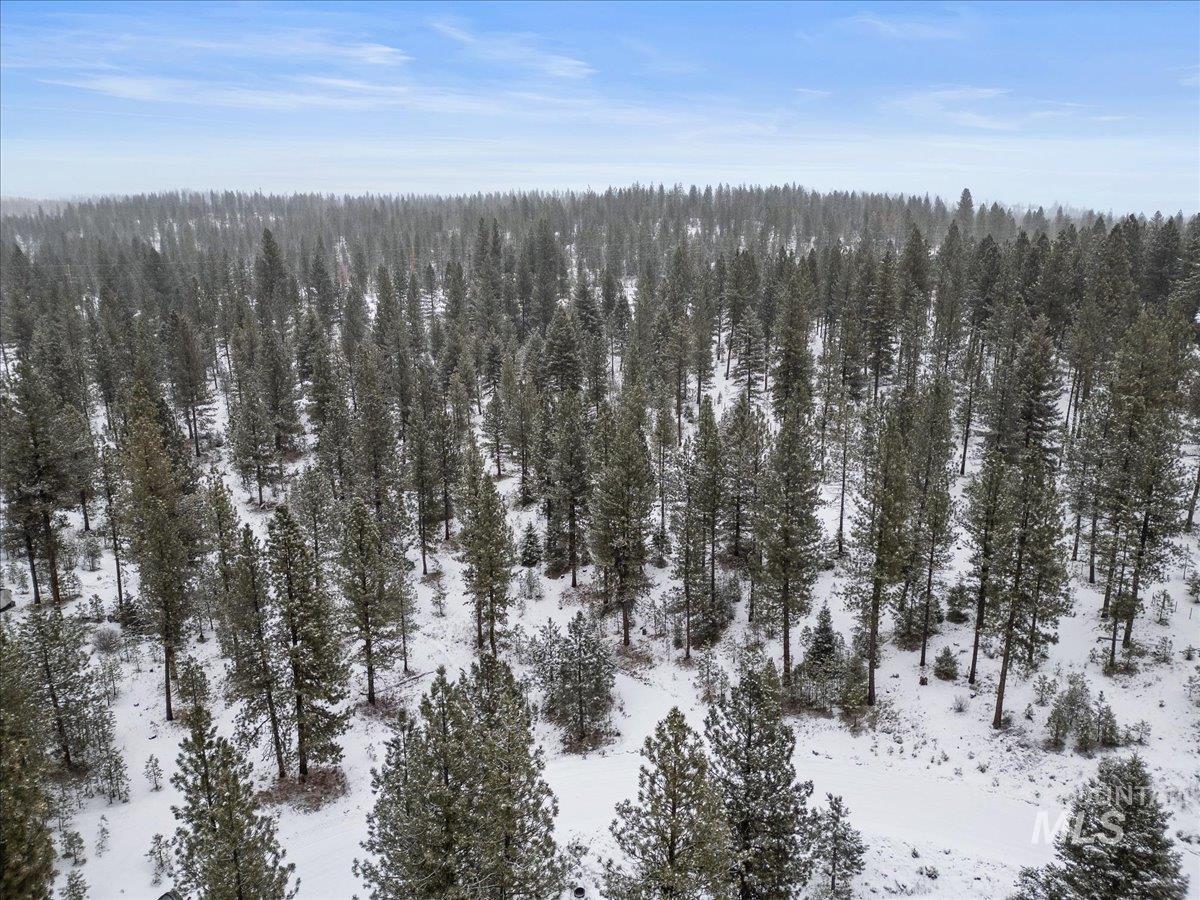 2753 W Pine Drive, New Meadows, Idaho 83638, Land For Sale, Price $390,000, 98928132