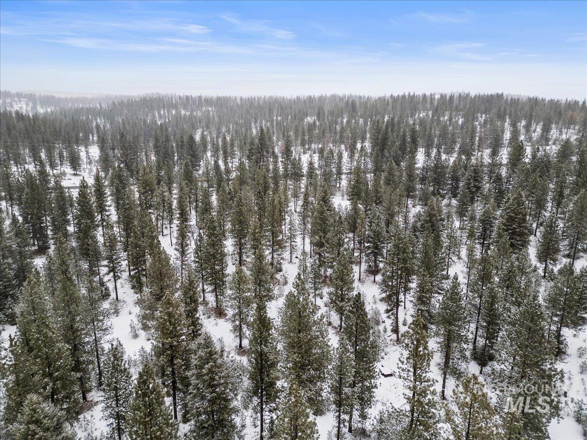 2753 W Pine Drive, New Meadows, Idaho 83638, Land For Sale, Price $390,000, 98928132