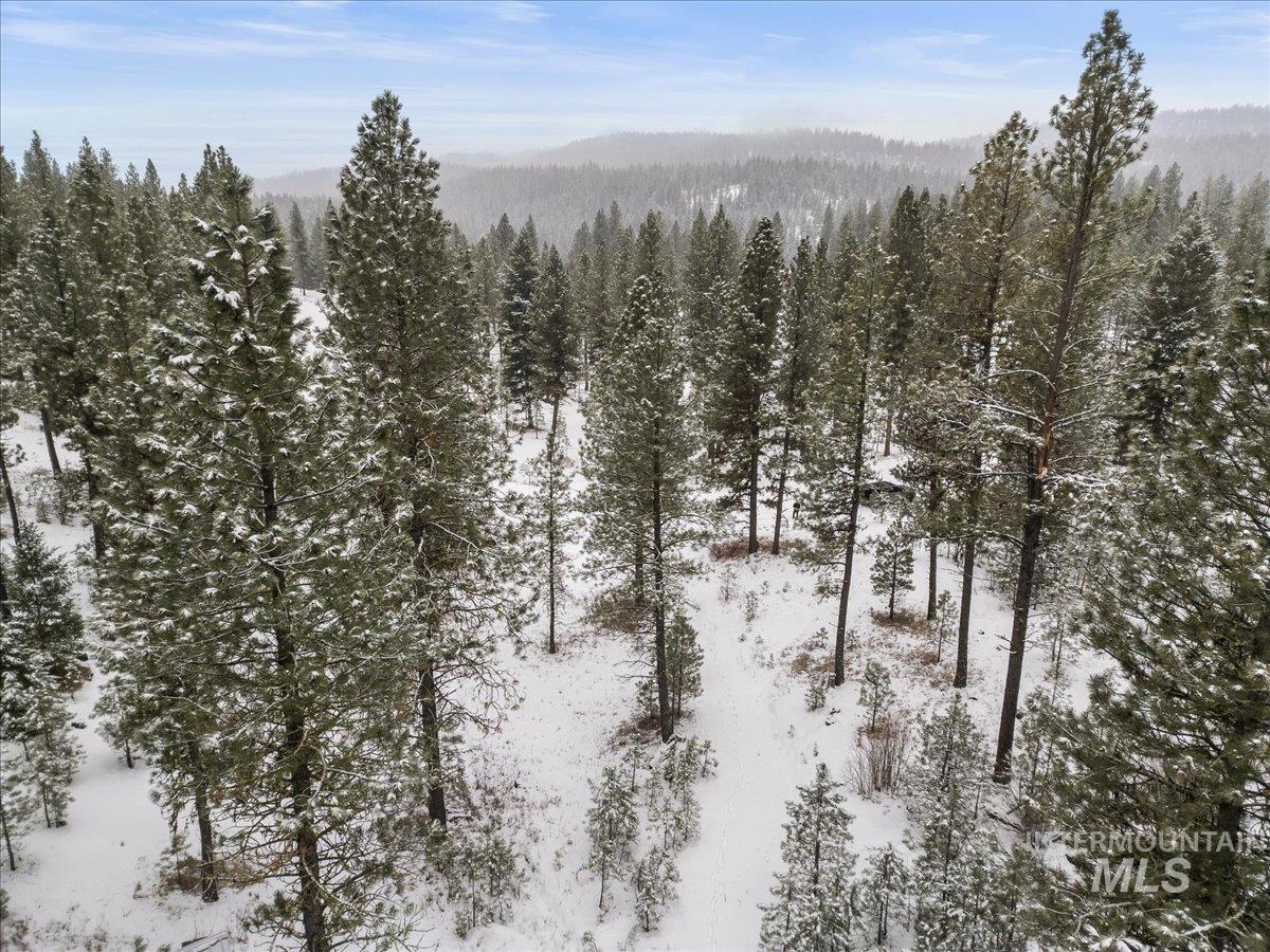 2753 W Pine Drive, New Meadows, Idaho 83638, Land For Sale, Price $390,000, 98928132