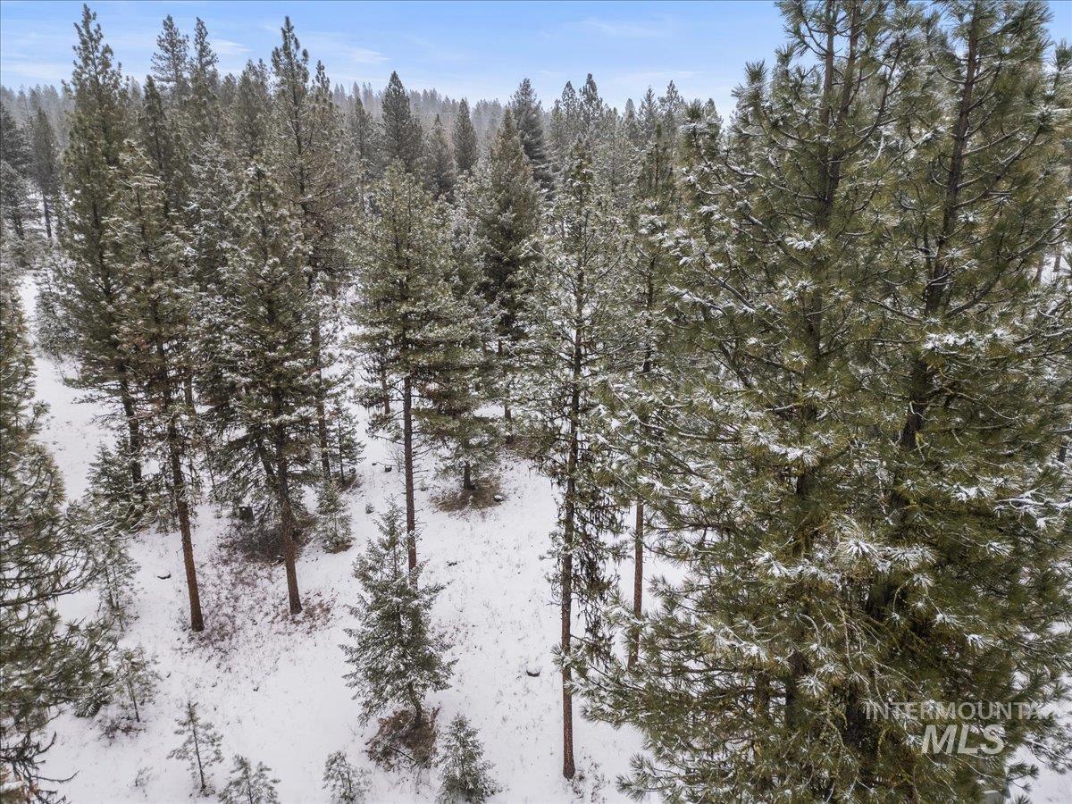 2753 W Pine Drive, New Meadows, Idaho 83638, Land For Sale, Price $390,000, 98928132