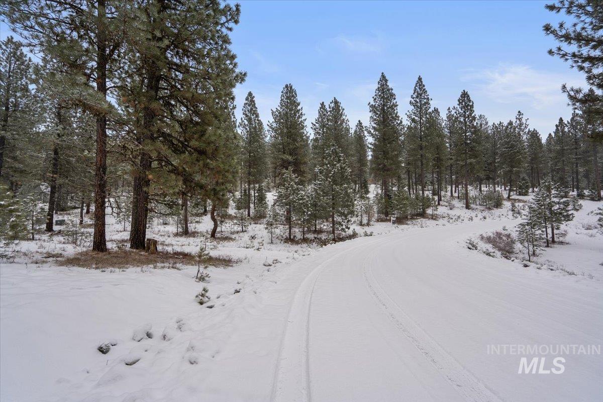 2753 W Pine Drive, New Meadows, Idaho 83638, Land For Sale, Price $390,000, 98928132