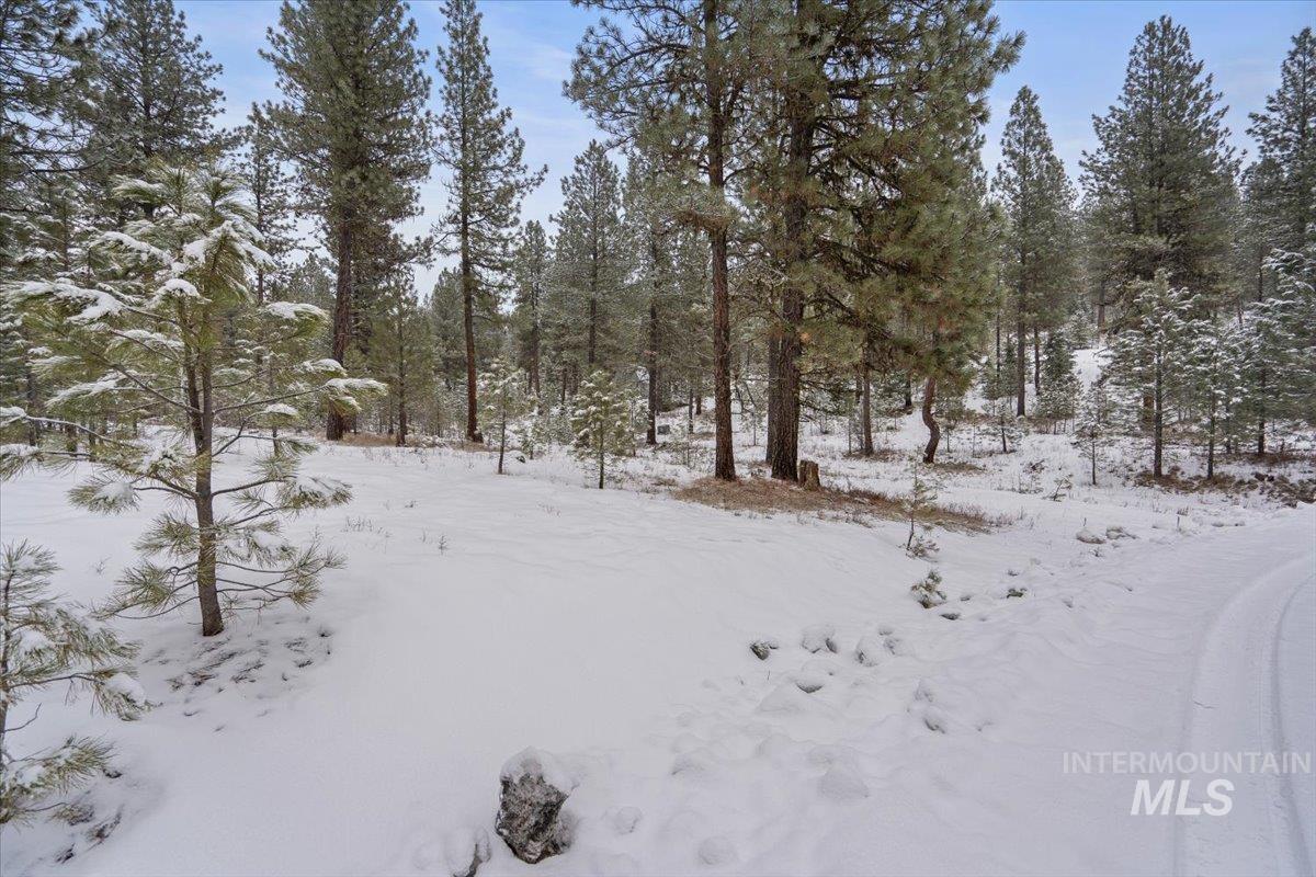 2753 W Pine Drive, New Meadows, Idaho 83638, Land For Sale, Price $390,000, 98928132