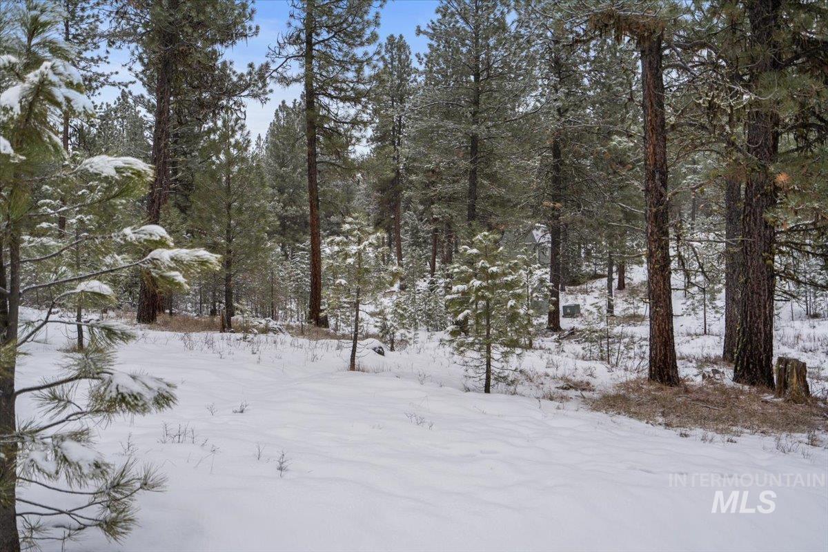 2753 W Pine Drive, New Meadows, Idaho 83638, Land For Sale, Price $390,000, 98928132