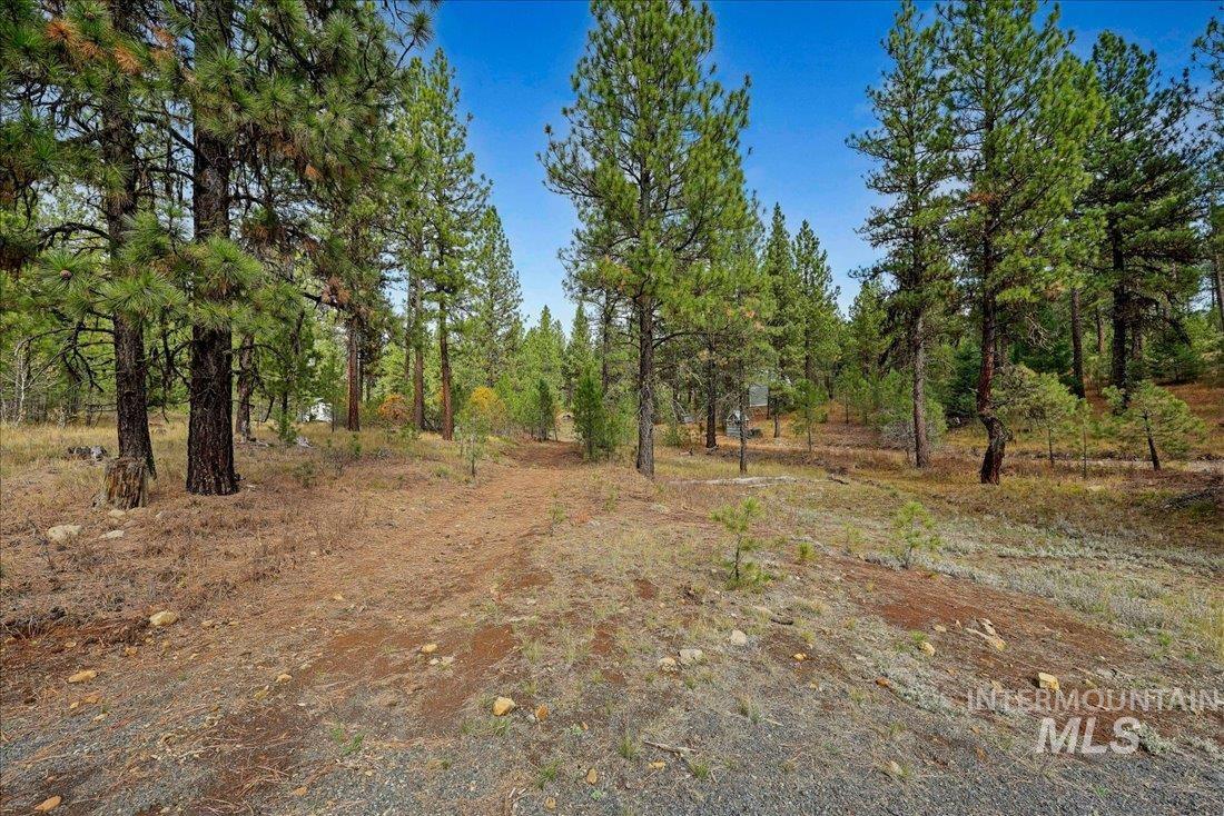 2753 W Pine Drive, New Meadows, Idaho 83638, Land For Sale, Price $390,000, 98928132