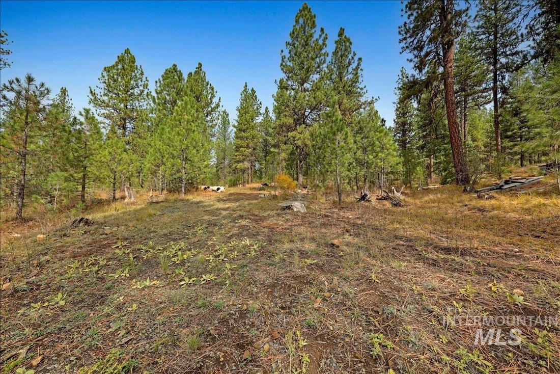 2753 W Pine Drive, New Meadows, Idaho 83638, Land For Sale, Price $390,000, 98928132