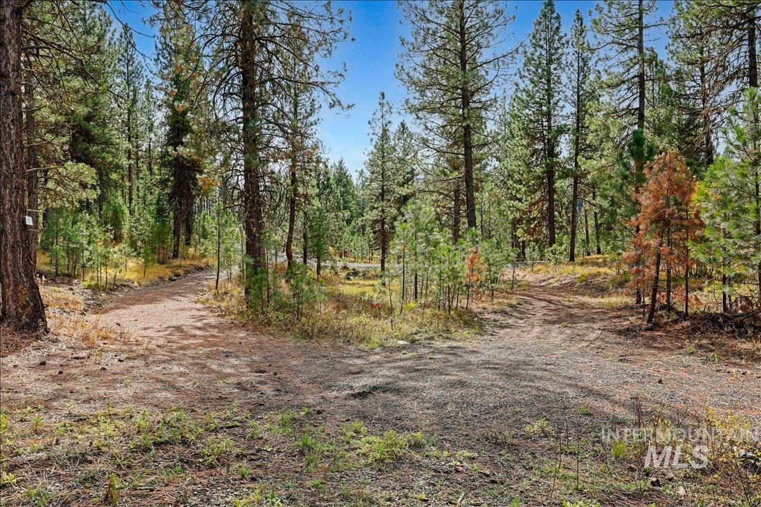 2753 W Pine Drive, New Meadows, Idaho 83638, Land For Sale, Price $390,000, 98928132