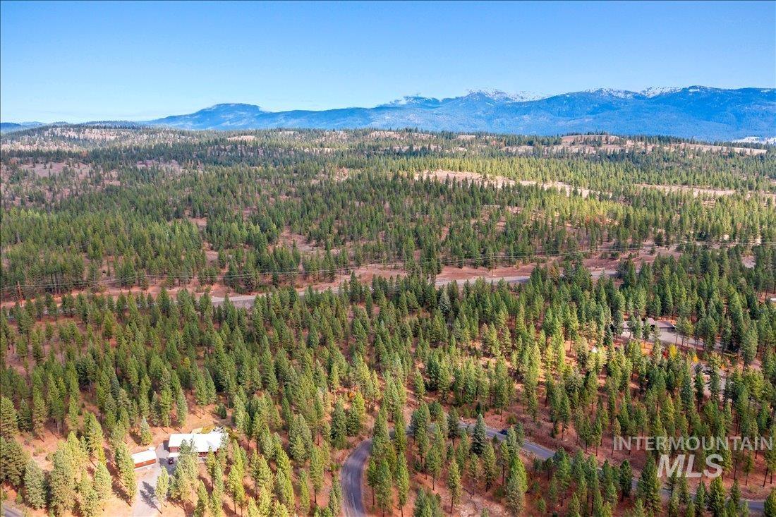 2753 W Pine Drive, New Meadows, Idaho 83638, Land For Sale, Price $390,000, 98928132