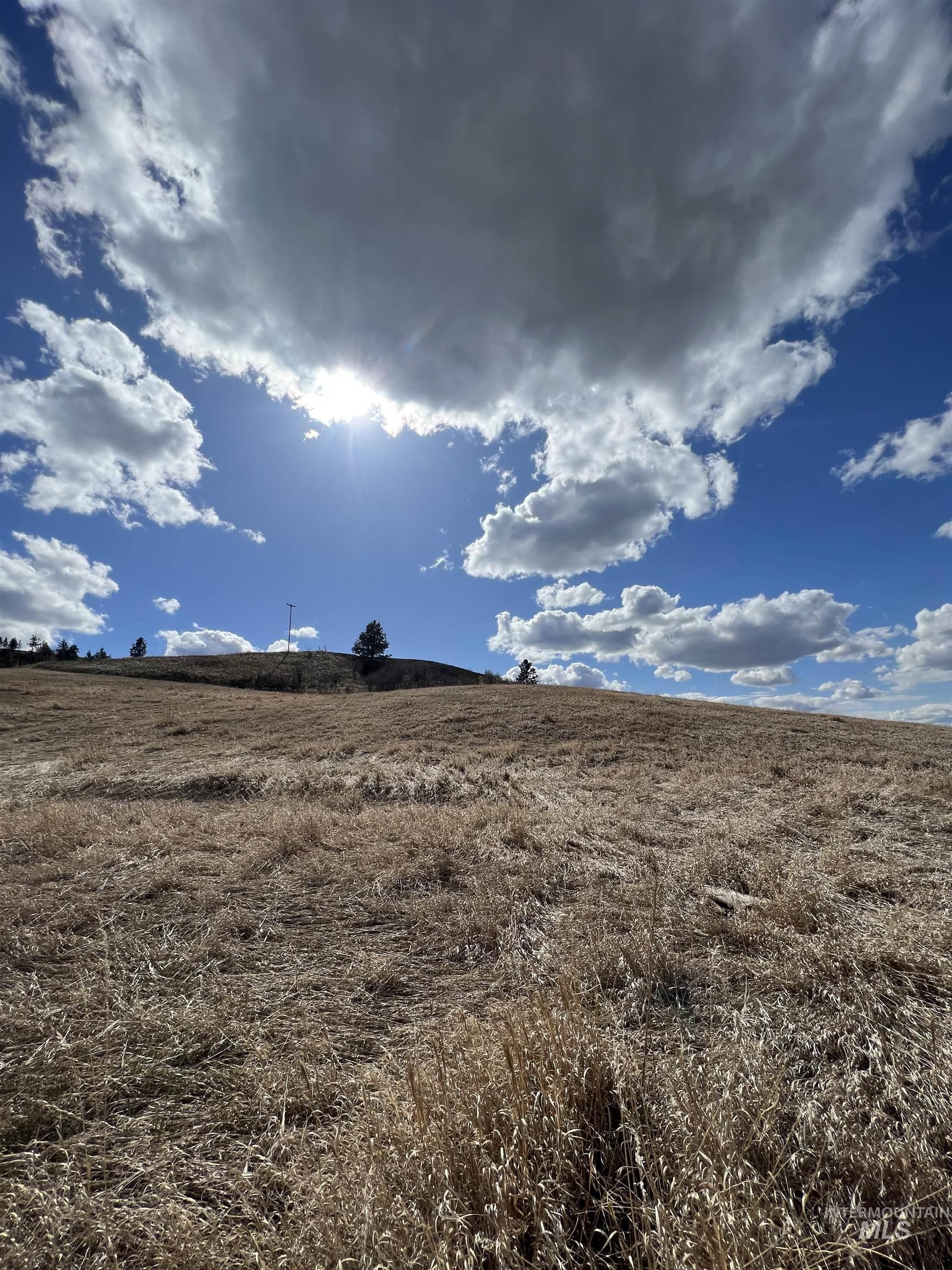 TBD Raven Dr, Culdesac, Idaho 83524, Land For Sale, Price $110,900,MLS 98928418