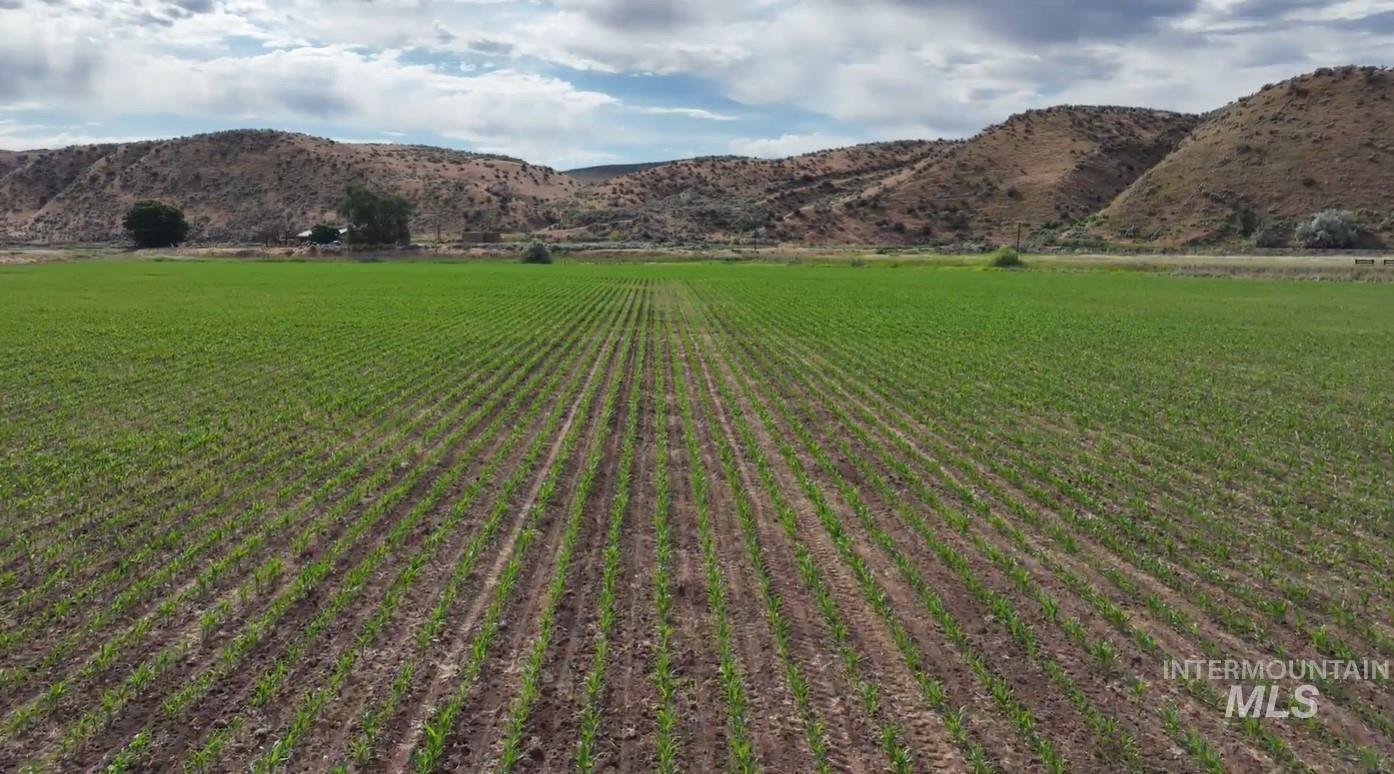2152 Cove Road, Weiser, Idaho 83672, 8 Bedrooms, 4.5 Bathrooms, Farm & Ranch For Sale, Price $6,750,000, 98928611